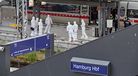 Bei dem Messerangriff vom 23. Mai 2025 wurden nach jüngsten Angaben der Staatsanwaltschaft 19 Menschen im Hamburger Hauptbahnhof verletzt. (Archivbild) / Foto: Georg Wendt/dpa