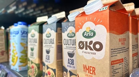 Produkte des Molkereiriesen Arla Foods stehen in einem dänischen Supermarkt. Arla und das deutsche Molkereiunternehmen DMK Group streben eine Fusion an. (Archivfoto) / Foto: Steffen Trumpf/dpa