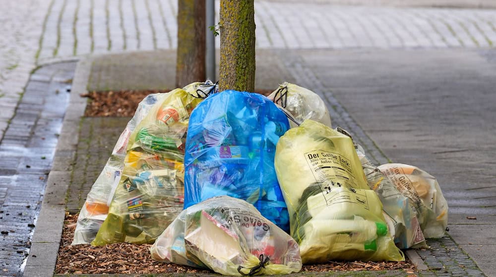 Gelbe Säcke und randvolle Wertstofftonnen überall - Anwohner sind in einigen Teilen des Landkreises Göttingen genervt. / Foto: Soeren Stache/dpa