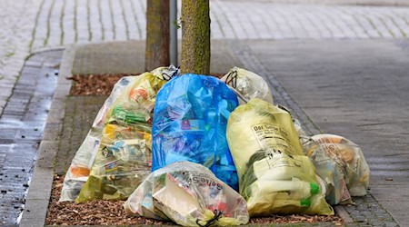 Gelbe Säcke und randvolle Wertstofftonnen überall - Anwohner sind in einigen Teilen des Landkreises Göttingen genervt. / Foto: Soeren Stache/dpa