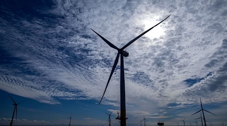 Die versteigerte Offshore-Windfläche umfasst 146 Quadratkilometer. (Symbolbild) / Foto: Jens Büttner/dpa-Zentralbild/dpa