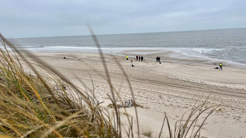 Am Rantumer Strand auf Sylt hat die Polizei einen Hund erschossen, nachdem dieser seinen Besitzer schwer verletzt hat. (Symbolfoto) / Foto: Lea Albert/dpa