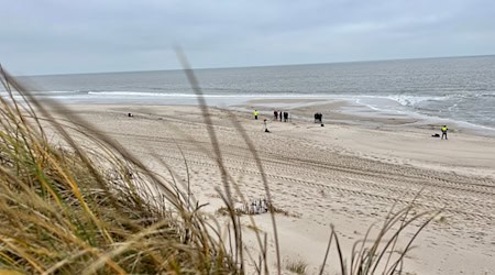 Am Rantumer Strand auf Sylt hat die Polizei einen Hund erschossen, nachdem dieser seinen Besitzer schwer verletzt hat. (Symbolfoto) / Foto: Lea Albert/dpa