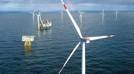 Der Windpark Riffgat liegt rund 15 Kilometer nördlich von Borkum. (Archivbild)  / Foto: Sina Schuldt/dpa