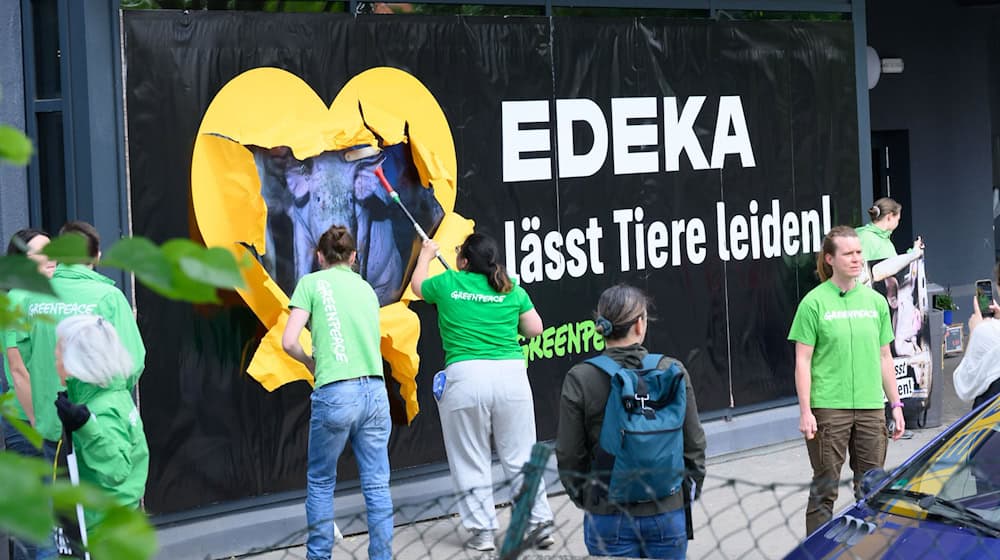 Greenpeace-Aktivisten kleben Protestplakate gegen Tierleid an die Scheiben eines Edeka-Markts. / Foto: Julian Stratenschulte/dpa