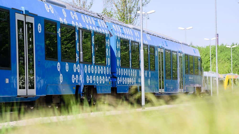 Nach dem Vorfall in der Regionalbahn sucht die Bundespolizei einen jungen Mann - den mutmaßlichen Täter (Symbolbild) / Foto: Julian Stratenschulte/dpa