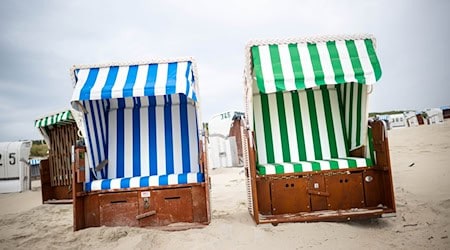 Sechs grün-weiße Strandkörbe, die aus nachhaltigen Materialien produziert sind, befinden sich in diesem Sommer am Inselstrand von Spiekeroog in einem Praxistest.  / Foto: Sina Schuldt/dpa