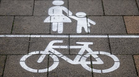 Auf gemeinsamen Fuß- und Radwegen besteht laut der Deutschen Verkehrswacht eine erhöhte Unfallgefahr. (Symbolbild) / Foto: Hendrik Schmidt/dpa