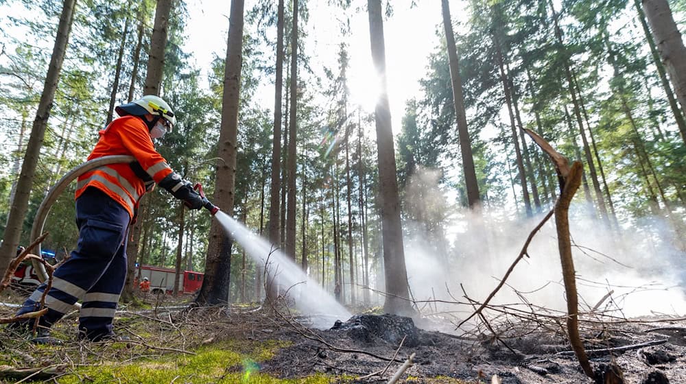 Zum Sommeranfang mit den erwarteten hohen Temperaturen steigt die Waldbrandgefahr in Niedersachsen. (Symbolbild) / Foto: Philipp Schulze/dpa