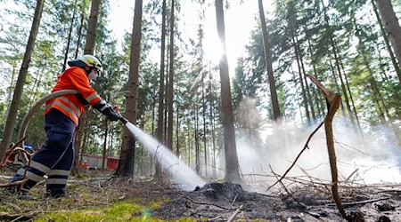 Zum Sommeranfang mit den erwarteten hohen Temperaturen steigt die Waldbrandgefahr in Niedersachsen. (Symbolbild) / Foto: Philipp Schulze/dpa