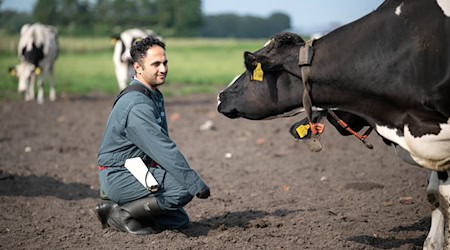 Tierarzt Mohammad Ranjbar ist Ende 2024 aus dem Iran in die niedersächsische Provinz gezogen. / Foto: Sina Schuldt/dpa