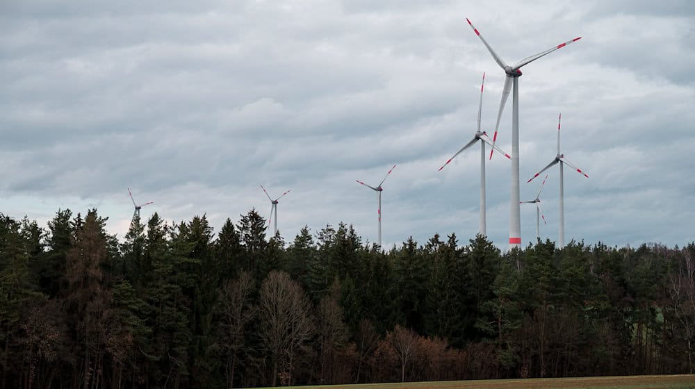 Im Süden Niedersachsens sollen Waldflächen für Windräder geöffnet werden, wie hier in Bayern. (Archivbild) / Foto: Daniel Vogl/dpa
