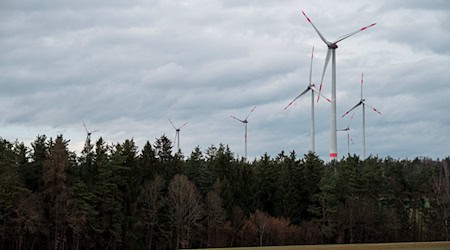 Im Süden Niedersachsens sollen Waldflächen für Windräder geöffnet werden, wie hier in Bayern. (Archivbild) / Foto: Daniel Vogl/dpa