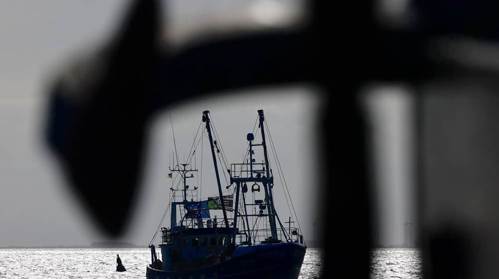 Über den Fischfang in Meeresschutzgebieten wird immer wieder gestritten. (Symbolbild) / Foto: Frank Molter/dpa