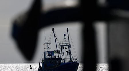 Über den Fischfang in Meeresschutzgebieten wird immer wieder gestritten. (Symbolbild) / Foto: Frank Molter/dpa