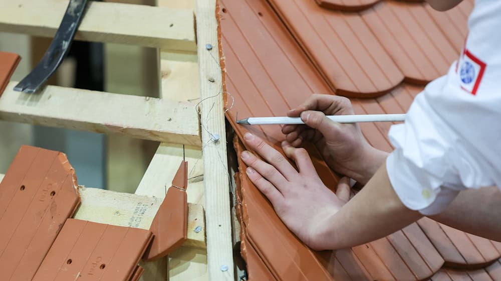 Viele Firmen suchen händeringend nach Fachkräften, etwa im Handwerk. (Symbolbild) / Foto: Jan Woitas/dpa