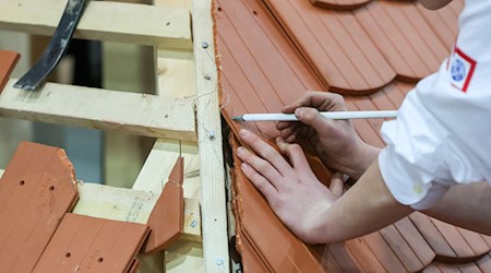 Viele Firmen suchen händeringend nach Fachkräften, etwa im Handwerk. (Symbolbild) / Foto: Jan Woitas/dpa