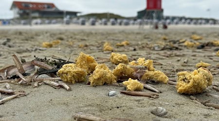 Im Mai wurden schon einmal wachsartige Klumpen am Strand von Norderney angespült. (Archivbild) / Foto: Volker Bartels/dpa