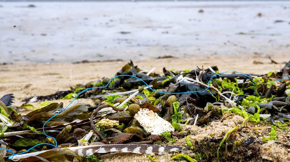 Die ökologische Belastung der deutschen Küsten ist groß - künftig will die Deutsche Bundesstiftung Umwelt pro Jahr 10 Millionen Euro für Schutzprojekte ausgeben. / Foto: Sina Schuldt/dpa