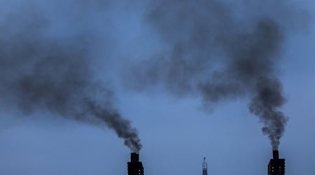 Die CO-Emissionen von Containerschiffen in der EU sind gestiegen. (Symbolbild)  / Foto: Jens Büttner/dpa