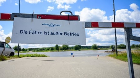 Weil die Fähre nicht die Elbe queren kann, bringt ein Kanu-Verleih Menschen ans andere Ufer. (Archivfoto) / Foto: Philipp Schulze/dpa