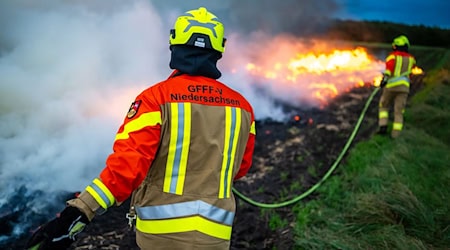Rund 60 Feuerwehrleute löschten das Feuer auf einem Feld in Celle. (Symbolbild)  / Foto: Philipp Schulze/dpa