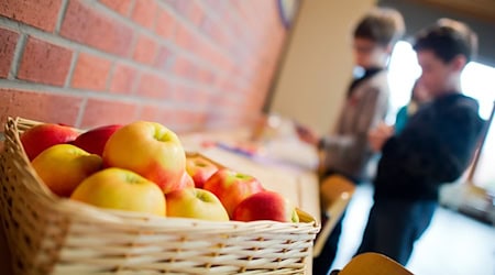 Äpfel im Klassenzimmer: In immer mehr Schulen gehört frisches Obst fest zum Alltag. (Archivbild) / Foto: picture alliance / Julian Stratenschulte/dpa