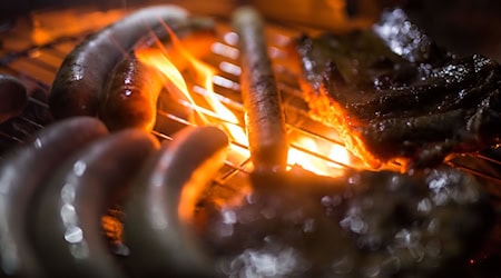 Grillen ist beliebt - die Fleischpreise sind allerdings in den vergangenen Jahren kontinuierlich gestiegen. / Foto: Lino Mirgeler/dpa
