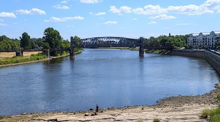 In diesem Jahr wurde an der Elbe in Magdeburg mit 44 Zentimetern ein historisch niedriger Wasserstand gemessen. (Archivbild) / Foto: Klaus-Dietmar Gabbert/dpa