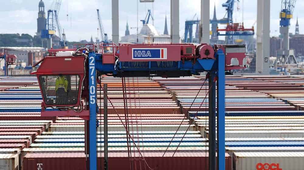 Ein Hubwagen fährt zwischen Containern im Hamburger Hafen umher. (Archivbild)   / Foto: Marcus Brandt/dpa