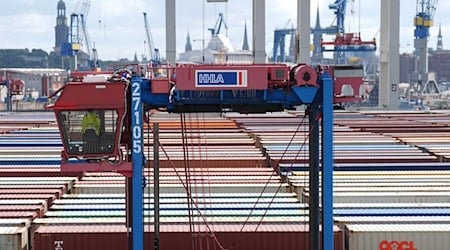 Ein Hubwagen fährt zwischen Containern im Hamburger Hafen umher. (Archivbild)   / Foto: Marcus Brandt/dpa