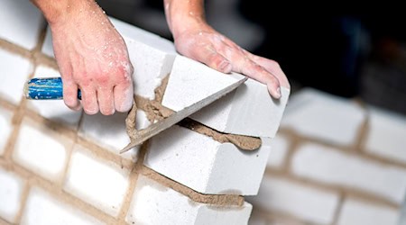 Viele Lehrstellen im niedersächsischen Handwerk sind zum Start des neuen Ausbildungsjahres unbesetzt. (Symbolbild) / Foto: Hauke-Christian Dittrich/dpa