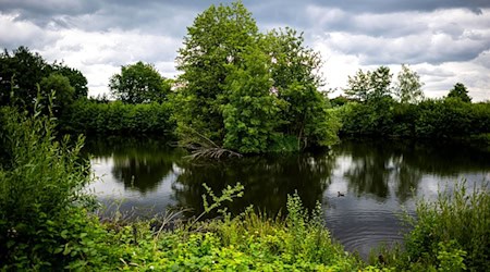 Die Suche nach einem vermeintlichen Alligator hatte in Vechta für Aufregung gesorgt. (Archivbild) / Foto: Sina Schuldt/dpa