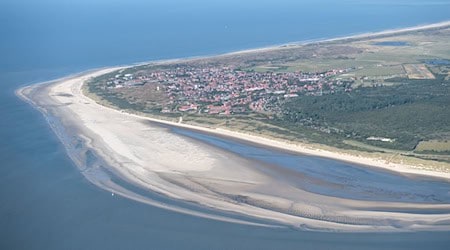 Auf Langeoog und Spiekeroog haben die Stände regulär geöffnet. (Archivbild) / Foto: Sina Schuldt/dpa