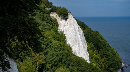 An der Steilküste Rügen gab es einen tödlichen Vorfall. (Archivbild) / Foto: Stefan Sauer/dpa