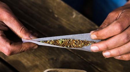 Nach Angaben der Krankenkasse KKH werden mehr Menschen wegen Cannabissucht behandelt. (Symbolbild) / Foto: Philipp von Ditfurth/dpa