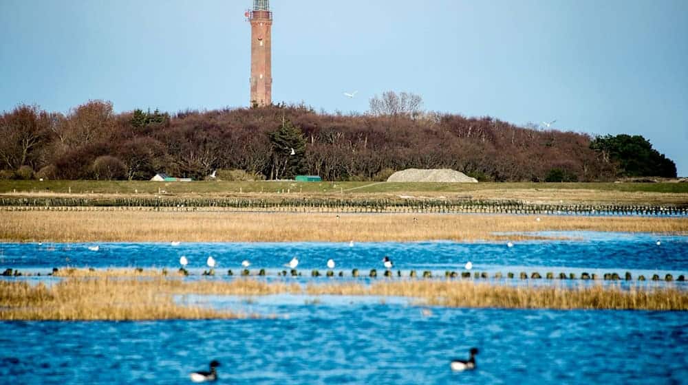 Die Kabel der Netzanbindungssysteme BalWin1 und BalWin2 verlaufen unter der Insel Norderney hindurch. (Archivbild) / Foto: Hauke-Christian Dittrich/dpa