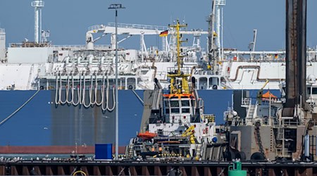 Über das Regasifizierung-Schiff «Neptune» im Rügener Hafen Mukran wurde zuletzt vergleichsweise viel Gas eingespeist. / Foto: Stefan Sauer/dpa