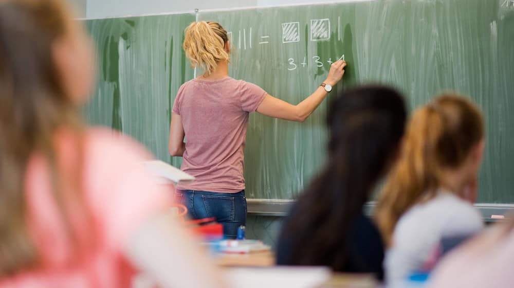 Die größte Gruppe der Beschäftigten beim Land Niedersachsen war 2023 in Schulen tätig. (Symbolbild)  / Foto: Julian Stratenschulte/dpa