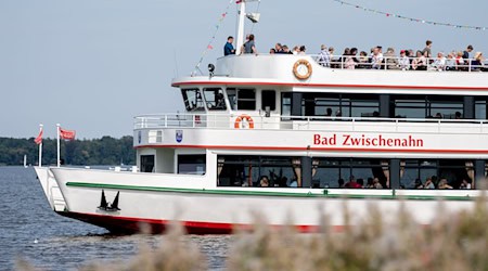 Fünf Schwimmer wollen das Schiff durchs Wasser ziehen. (Archivfoto) / Foto: Hauke-Christian Dittrich/dpa