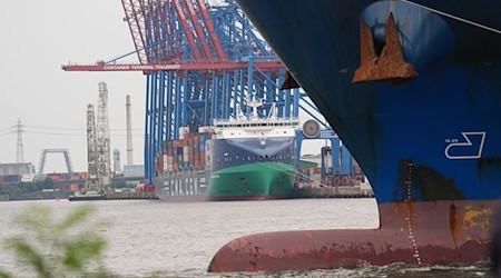 Um die Infrastruktur der deutschen Seehäfen zu sanieren und auszubauen, braucht es laut Branchenverband 15 Milliarden Euro vom Bund (Archivbild). / Foto: Marcus Brandt/dpa