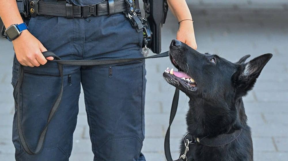 Die Spürhunde waren bei mehreren Durchsuchungen im Einsatz. (Symbolbild) / Foto: Patrick Pleul/dpa