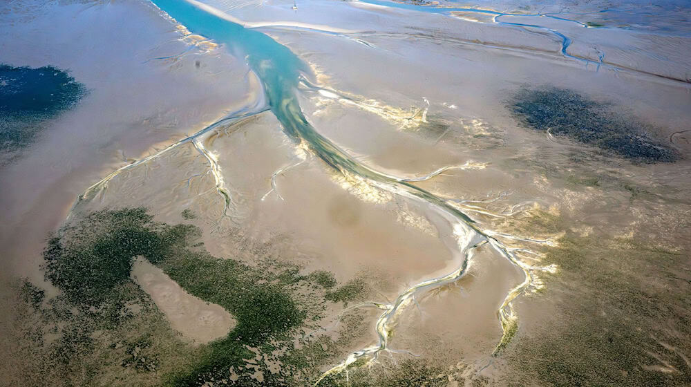 Ein Forschungsteam hat untersucht, wie sich das Wattenmeer verändert hat. (Archivfoto) / Foto: Sina Schuldt/dpa