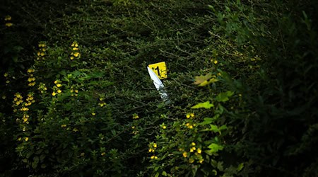 Laut Polizei kamen auch Messer zum Einsatz. / Foto: Sina Schuldt/dpa