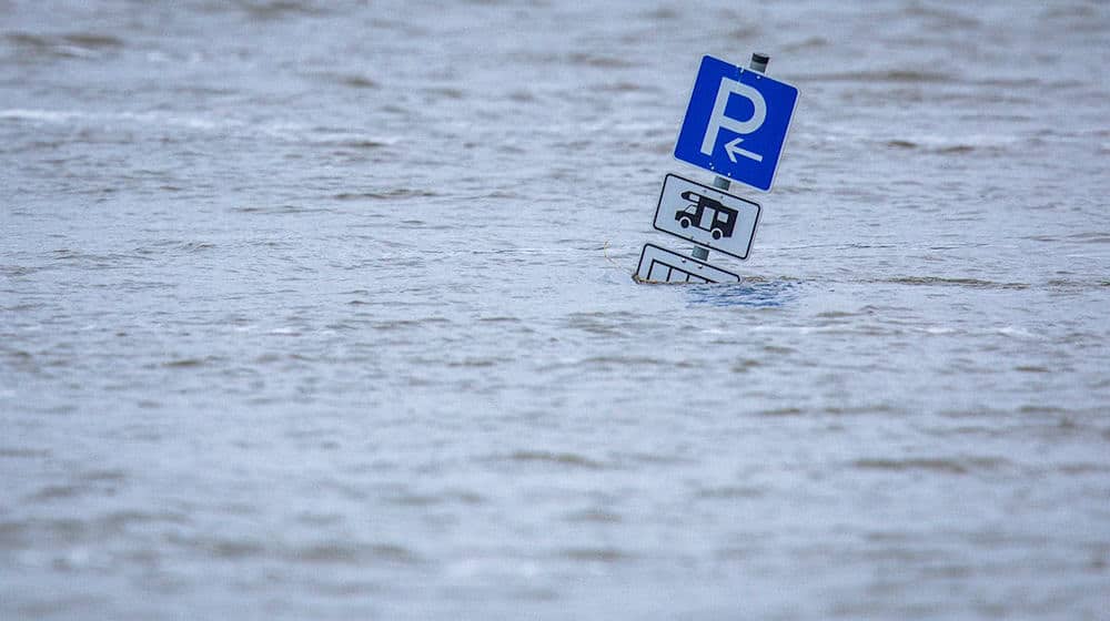 Ein schweres Hochwasser traf Anfang vergangenen Jahres Niedersachsen. (Archivbild) / Foto: Jens Büttner/dpa