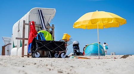 Die Temperaturen sollen heute noch einmal zwischen 31 und 39 Grad erreichen. (Archivbild) / Foto: Hauke-Christian Dittrich/dpa