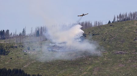 Rund 150 Einsatzkräfte und ein Löschflugzeug sind im Einsatz, um den Brand bei Thale zu bekämpfen.  / Foto: Matthias Bein/dpa