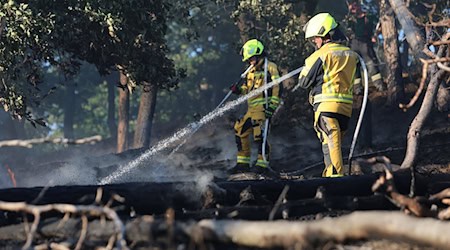 Die Feuerwehr kämpft gegen die noch lodernden Flammen und Glutnester im betroffenen Waldgebiet. (Archivbild)  / Foto: Matthias Bein/dpa