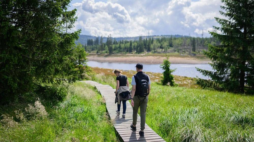 Wanderer laufen auf dem Wanderweg Harzer-Hexen-Stieg (Brockenumgehung) am Ostufer des Oderteiches. / Foto: Julian Stratenschulte/dpa