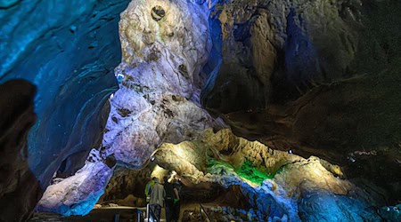  An und in der Iberger Tropfsteinhöhle in Bad Grund wird an diesem Wochenende ein kurioses Jubiläum gefeiert. / Foto: Swen Pförtner/dpa